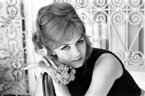 Макияж мишель мерсье в анжелике. Секреты красоты Мишель Мерсье