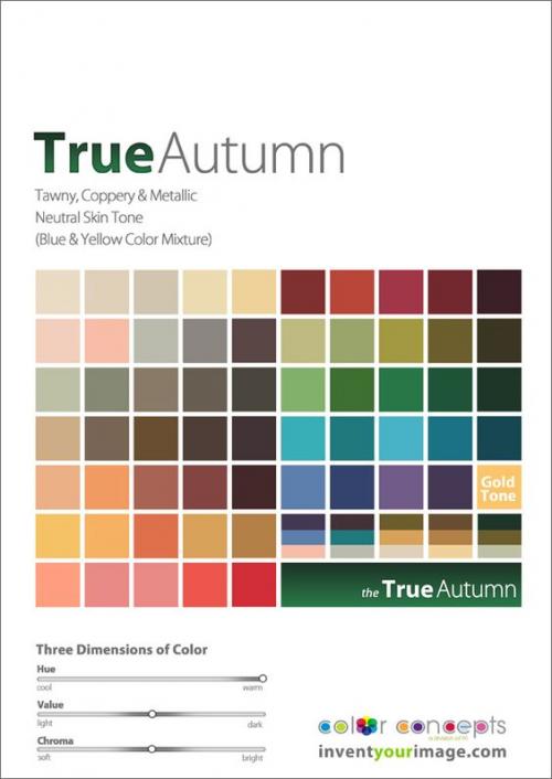 Мягкая осень мужчины. Мужской цветотип Осень