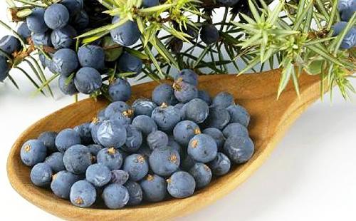 Что такое можжевеловый валик