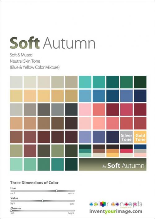 Мягкая осень мужчины. Мужской цветотип Осень