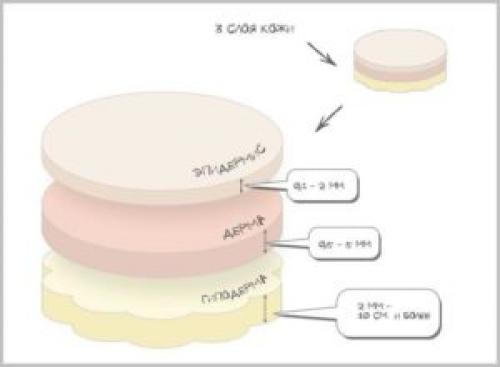 Чем отличается микроблейдинг бровей от перманентного макияжа. Немного о микроблейдинге