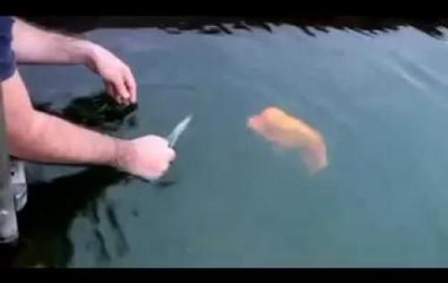 Список селфи на каждый день. Девушка делала селфи каждый день в течение 8 лет, и в конце она сильно изменилась