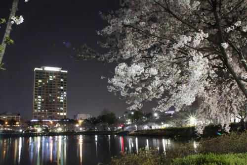 Факты о кореянках. Икс-файл №30: Факты о корейцах