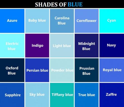 Оттенки Синих Цветов Названия И Фото