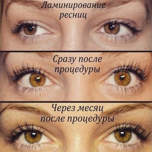 Ламинирование ресниц обучение. Обучение ламинированию ресниц самостоятельная техника и профессиональные курсы