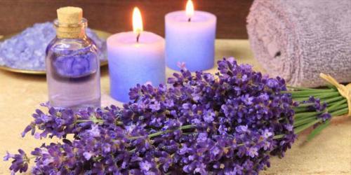 Лавандовый цвет (фото). Сочетание лавандового цвета с другими цветами