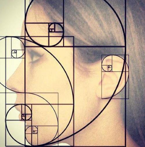 Золотое сечение лица в макияже. Золотое сечение - пропорция лица