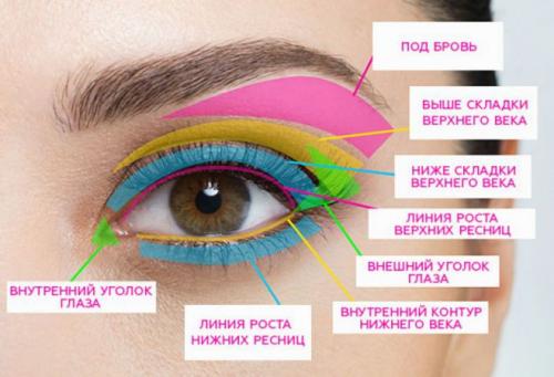Хитрости в макияже глаз. 2. Чтобы правильно наносить тени и пользоваться мастер-классами, необходимо знать названия частей века и глаза.