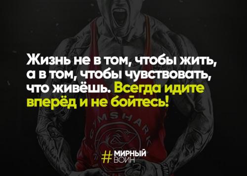 Мотивирующие фразы. 20 лучших мотивационных фраз