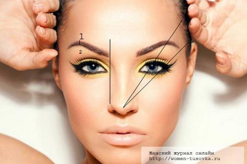 Строение брови. Как красиво сделать форму бровей дома?