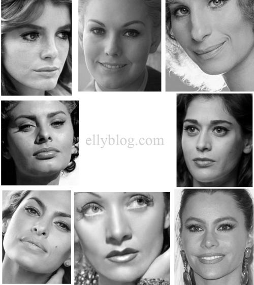 Софт Драматик по Кибби. Типажи по Кибби. Мягкий Драматик