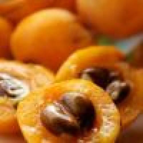 Мушмула полезные свойства. Мушмула – полезные свойства, как едят, как выбрать, как хранить