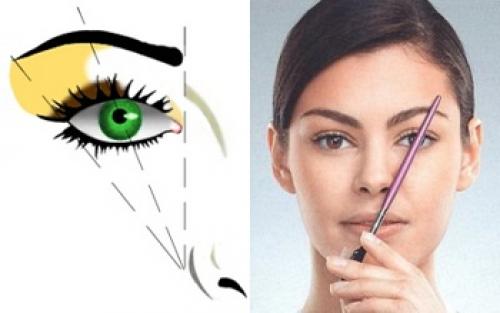 Золотое сечение лица брови. Идеальная форма бровей