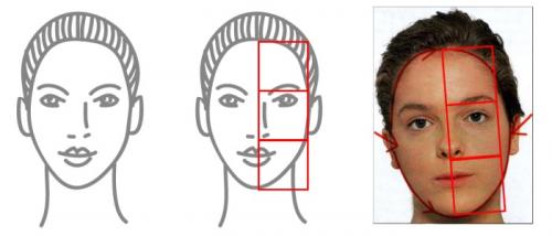 Идеальная форма лица. Какие бывают формы лица