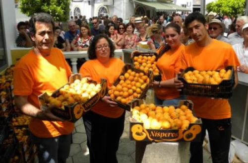 Мушмула полезные свойства. Мушмула – полезные свойства, как едят, как выбрать, как хранить