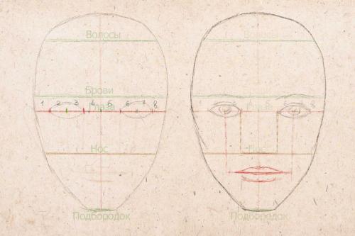 Пропорции лица женщины рисунок. Рисуем лицо человека