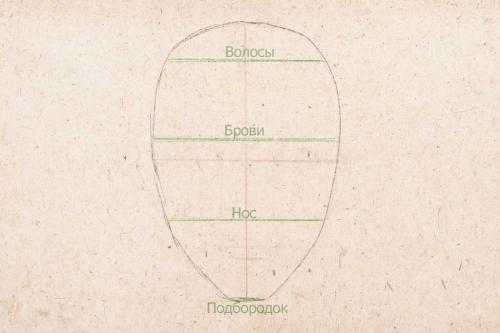 Пропорции лица женщины рисунок. Рисуем лицо человека