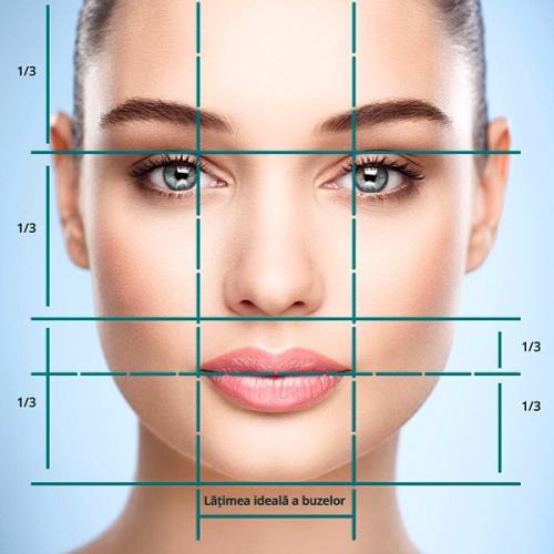 Правильные пропорции лица.