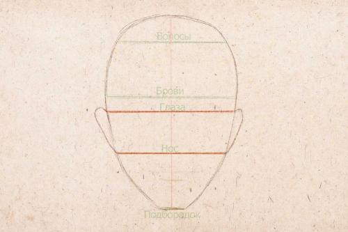 Пропорции лица женщины рисунок. Рисуем лицо человека