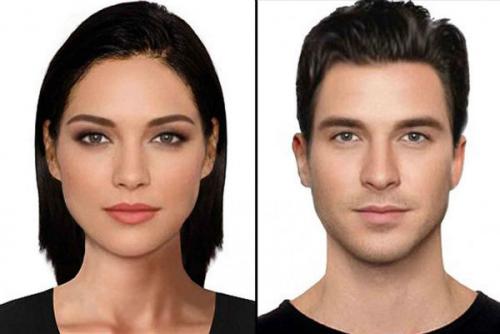 Правильные пропорции лица.