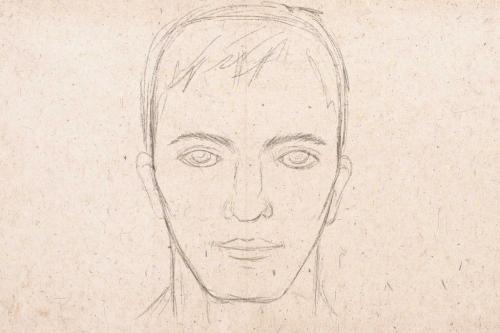 Пропорции лица женщины рисунок. Рисуем лицо человека