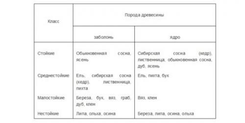Лак для ступеней лестницы, какой выбрать. Лак для лестниц деревянных: обзор выпускаемых составов, советы по обработке поверхности
