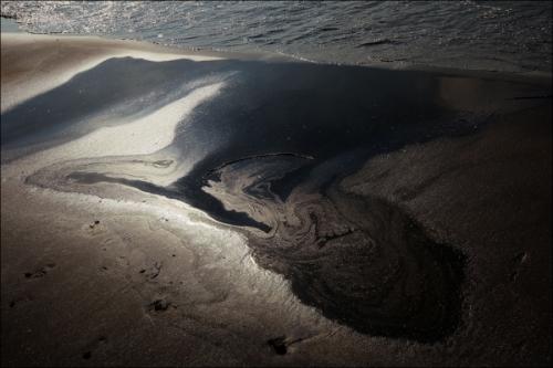 Американцы создали бактерию синтия. Американцы создали страшную бактерию-убийцу, которая вышла из-под контроля США