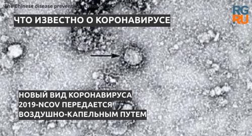 Правда и мифы о коронавирусе. Правда о коронавирусе 01