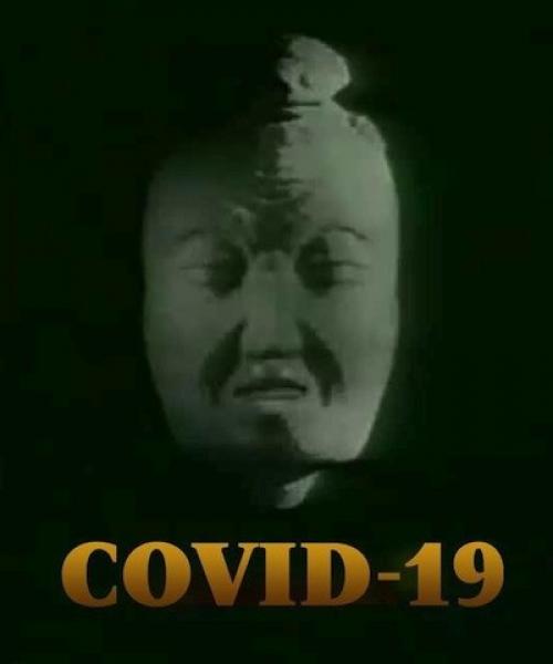 Интересные факты о коронавирусе. 11 интересных фактов о коронавирусе