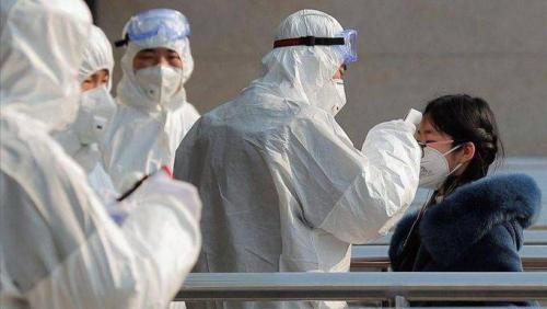 В каких странах появился коронавирус. В каких странах уже есть коронавирус из Китая?