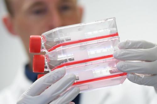 В России создали три препарата для борьбы с COVID-19. Российские ученые создали три препарата для борьбы с коронавирусом