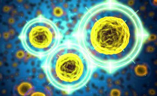 Разработана вакцина от коронавируса заявили гонконгские ученые. Вакцина против коронавируса разработана, заявили учёные из Гонконга