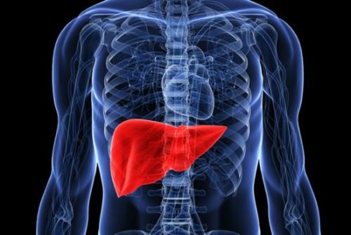 В России научились лечить гепатит в. Как лечится гепатит В и почему он опасен