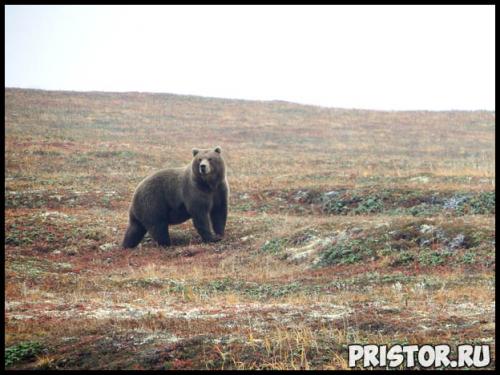 Как спастись от китайского коронавируса. Как Китай справился с коронавирусом? 01 Как спастись от китайского коронавируса. Как Китай справился с коронавирусом? 01