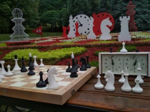 Медики рассказали о, каких болезнях свидетельствует шум в ушах. Медики рассказали о, каких болезнях может предупреждать шум в ушах