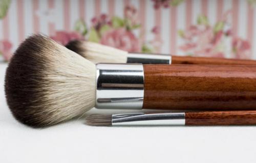 Как правильно наносить помаду кистью. Как правильно выбрать кисть