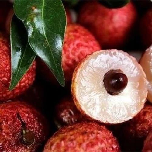 Какие самые популярные китайские фрукты и овощи. Краткий гид по китайским фруктам