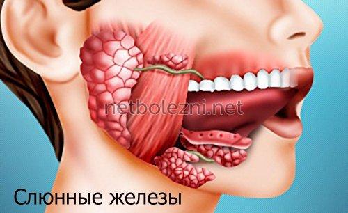 Сухость во рту, как признак патологии. Причины сухости во рту 02 Сухость во рту, как признак патологии. Причины сухости во рту 02