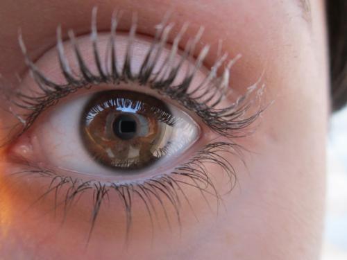 Как подготовить ресницы к макияжу. Как подготовить ресницы к нанесению макияжа? 11