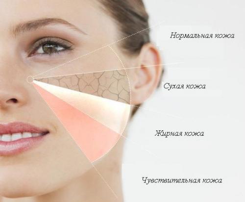 Макияж глаз для начинающих. Как правильно делать макияж: поэтапное фото с описанием