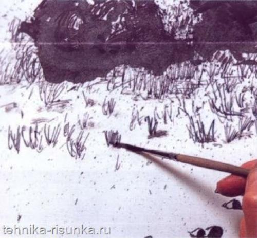 Кисть для туши рисование. Как рисовать тушью кистью и чернилами?