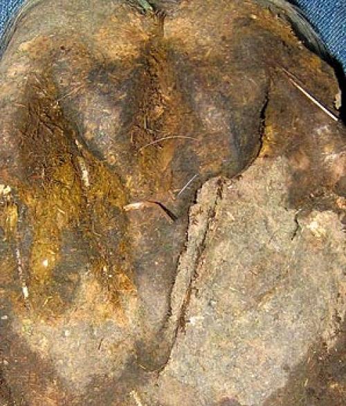 Как сделать стрелку более долговечной и устойчивой к смазыванию. Отслоение стрелки