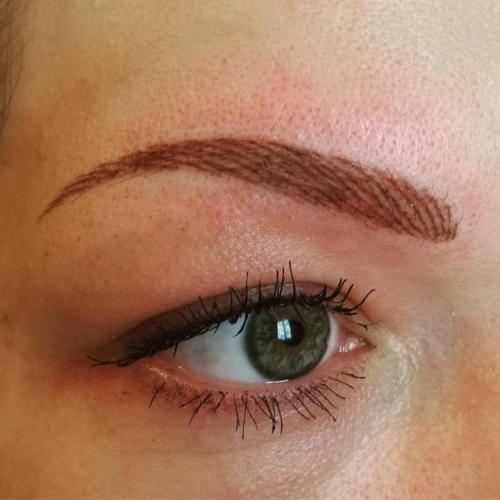 Лучшие техники татуажа бровей. Волосковая техника 10