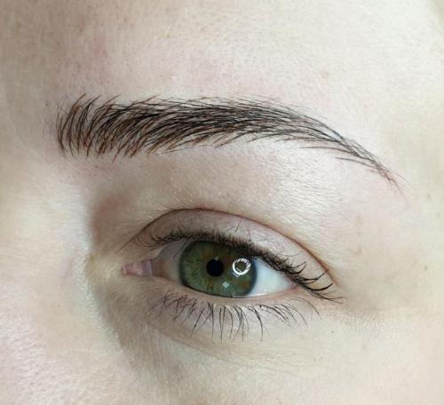 Лучшие техники татуажа бровей. Волосковая техника 13