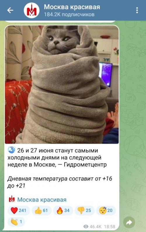 Какой тип контента она любит создавать больше всего. Топ-8 типов контента в социальных сетях