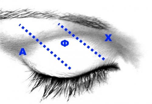 Шаг за шагом: как правильно наносить тени для глаз 13 Шаг за шагом: как правильно наносить тени для глаз 13