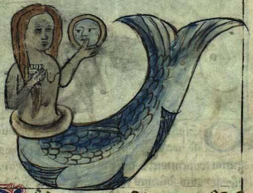 Роды русалки. Русалки и их родичи