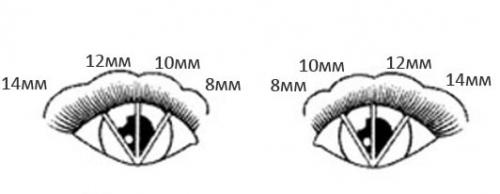 Схема наращивания ресниц лиса. Как выполняется наращивание