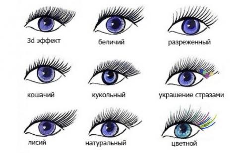 Эффект кошачьего глаза наращивание ресниц схема. Эффект кошачий глаз ресницы. Кому подойдет натуральное наращивание 01