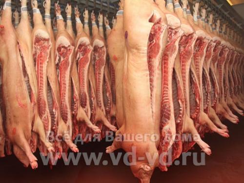 Как получить максимум от туши для ресниц. Густые, длинные, свои! Как правильно наносить тушь на ресницы: советы звездного визажиста 09